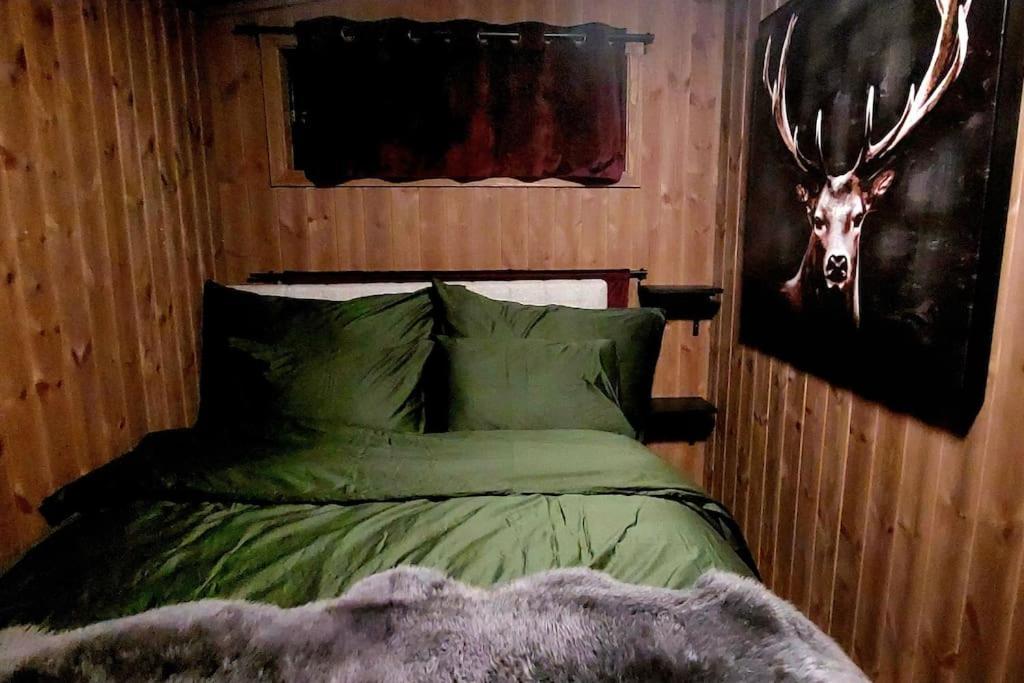 Cabin Aurora Borealis Sommarøy Eksteriør billede